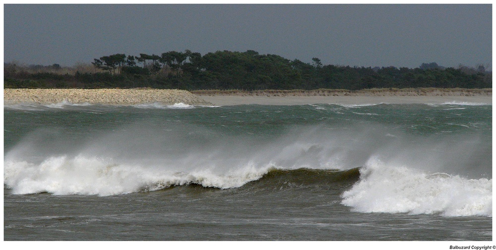 " Vagues décoiffées par un vent de terre "