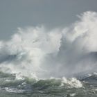 Vagues sur la digue