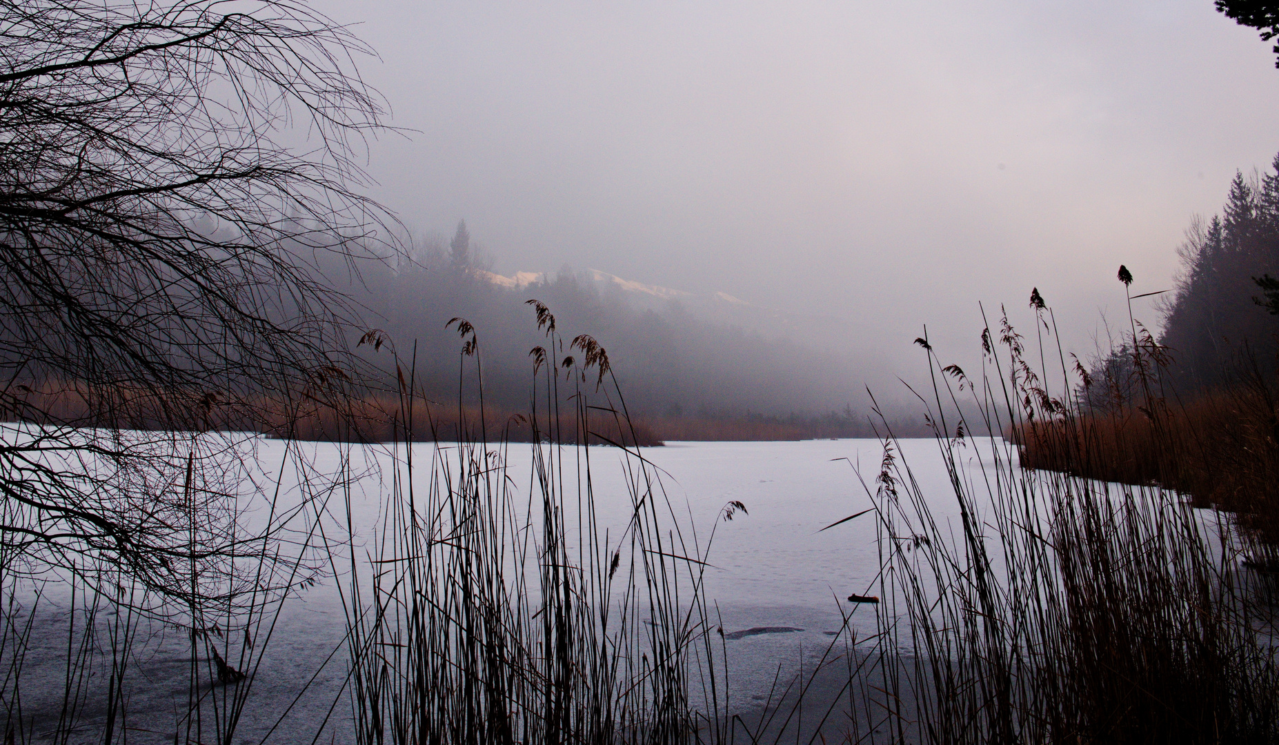 Vahrner See ... am späten Nachmittag