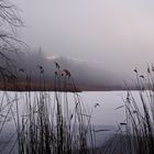 Vahrner See ... am späten Nachmittag