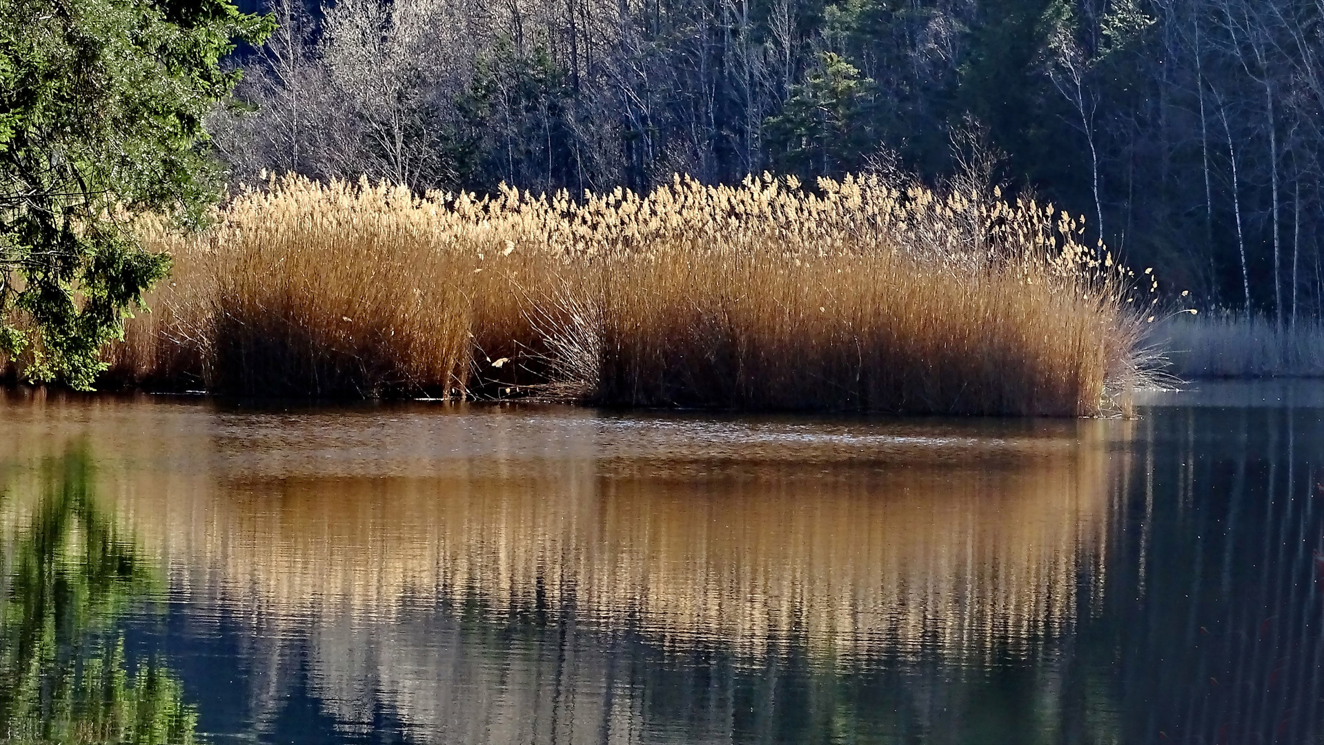 Vahrnsee