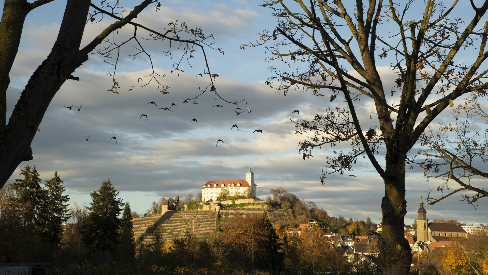 Vaihingen Enz , Burg