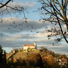 Vaihingen Enz , Burg