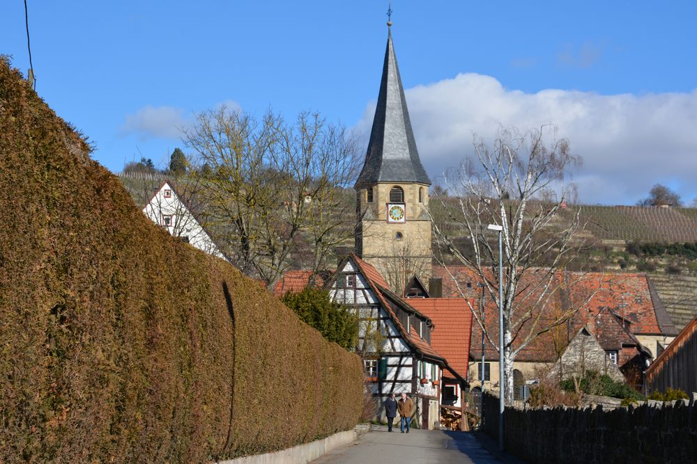 Vaihingen Roßwag an der Enz Foto & Bild landschaft, lebensräume