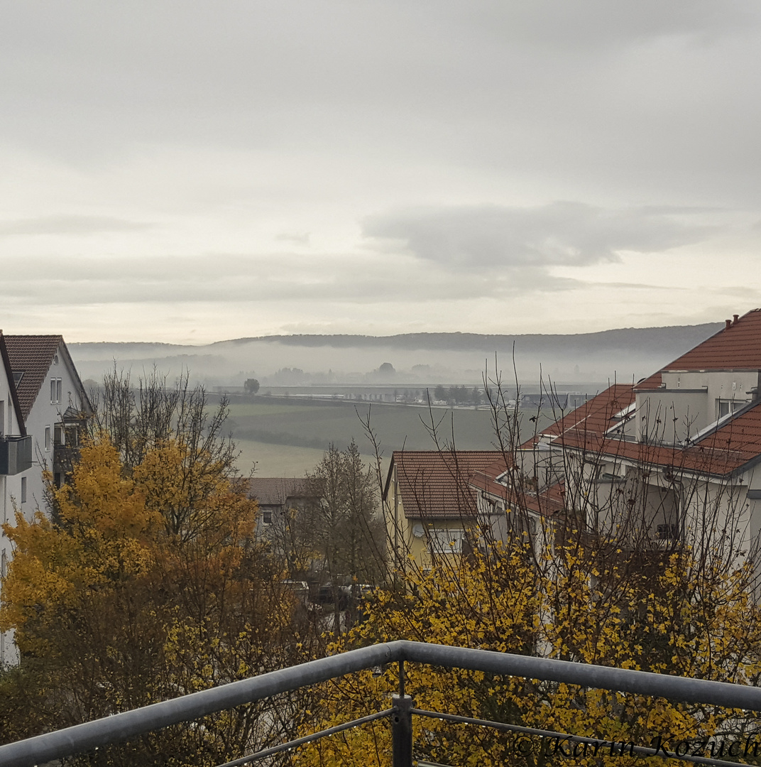 Vaihingen/Enz Morgennebel