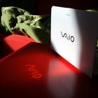 VAIO