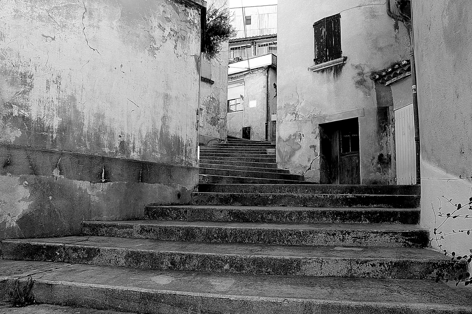 Vaison la Romaine