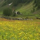 Val Aurina