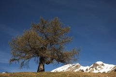 Val Blenio, Pian Daioss #1, der Frühling kommt