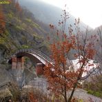 Val Borbera (AL) la Passerella