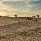 Val d' Orcia