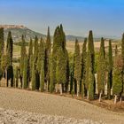 Val d' Orcia