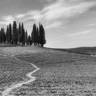 Val d' Orcia