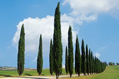 val d orcia au printemps....