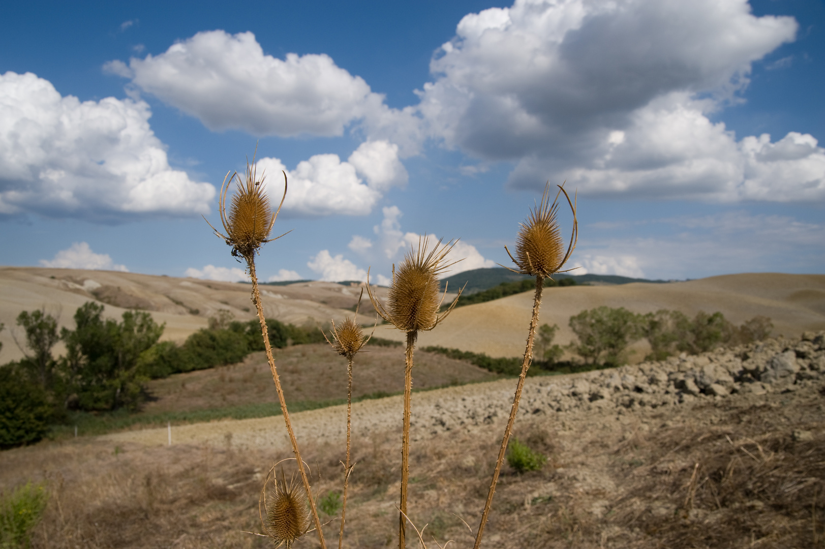 Val d'Arbia