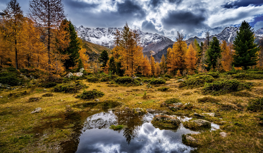 Val di Campo