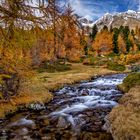 Val di Campo im Herbstgewand