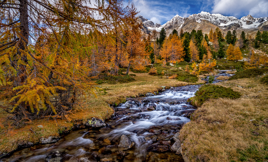 Val di Campo im Herbstgewand