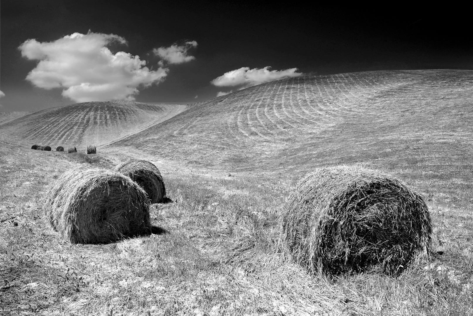 VAL DI CECINA: "Balle Toscane..."