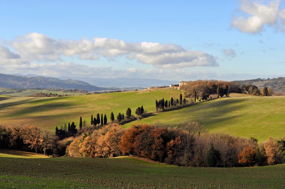 Val di Cecina (Toscana) Foto Immagini paesaggi, progettogeum, natura Foto su Val di Cecina (Toscana) Foto Immagini paesaggi, progettogeum, natura Foto su