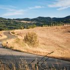 Val di Cecina (Toskana, Italien)