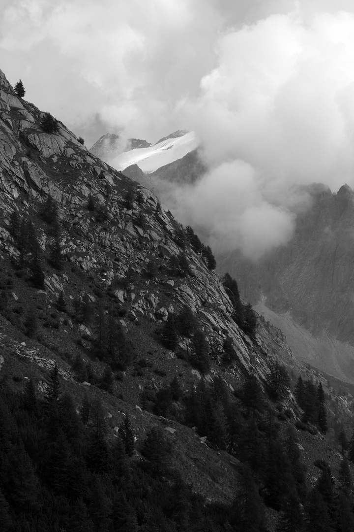 Val di Genova, Trentino