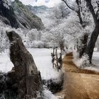 Val di Mello