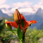 val di mello