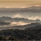 Val di Merse am Morgen