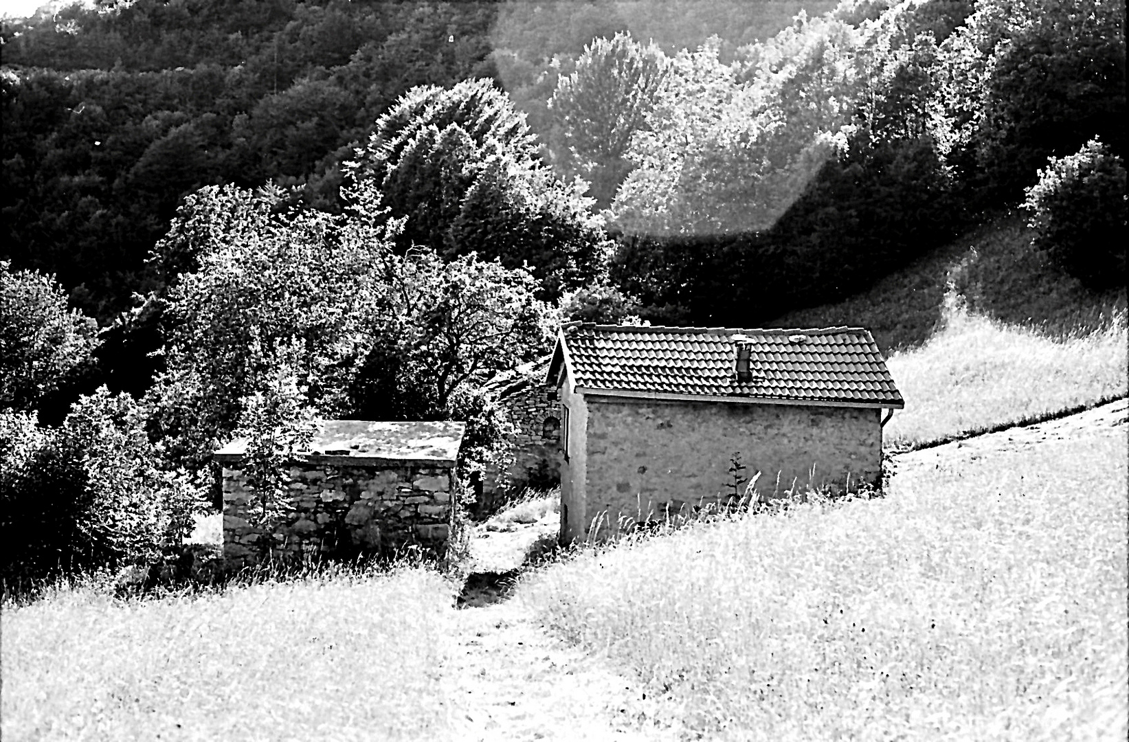 Val d'Intelvi ( Como ) 1993