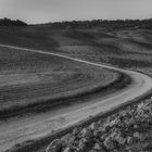 Val d’Orcia