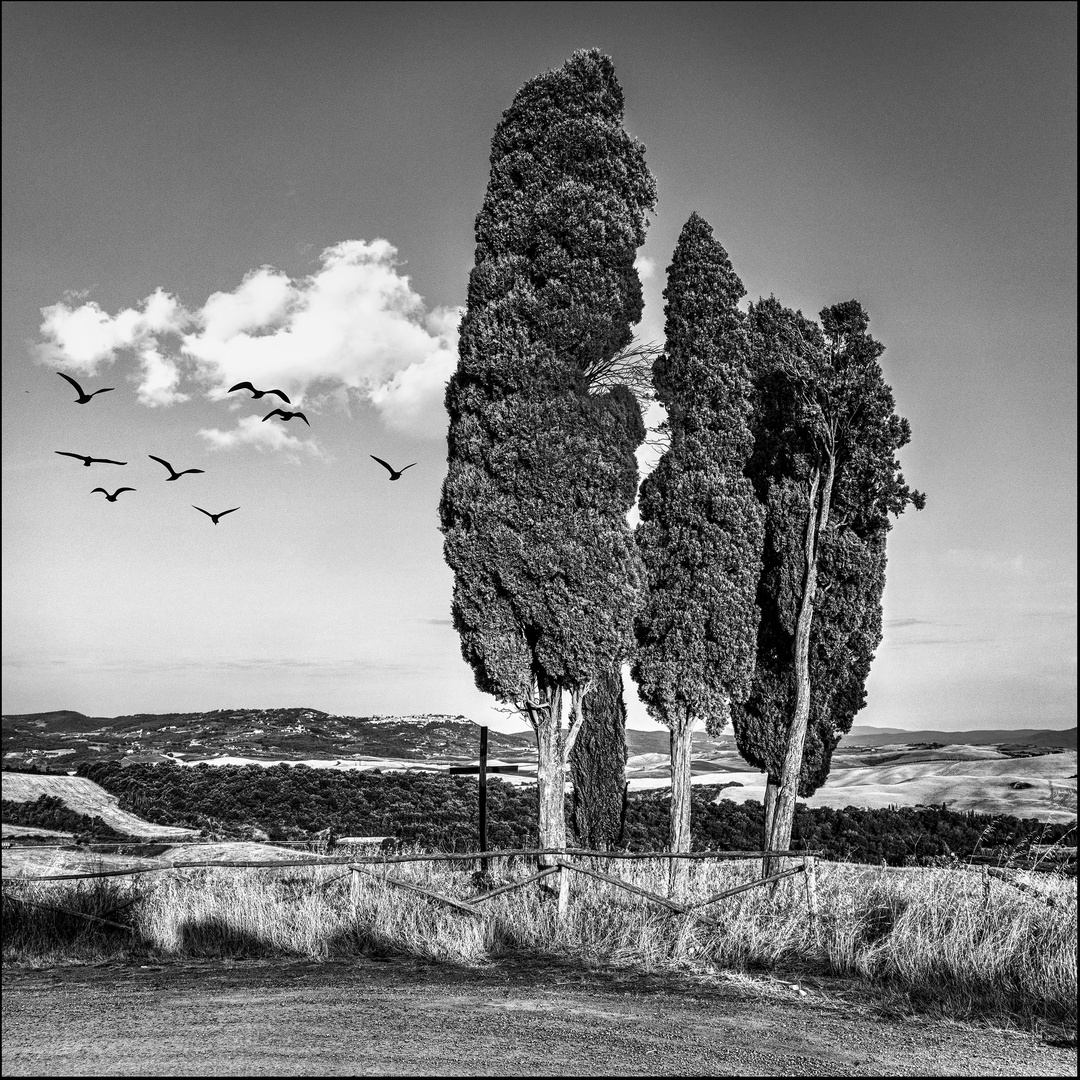 Val D'Orcia # 02