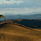 Val d'Orcia