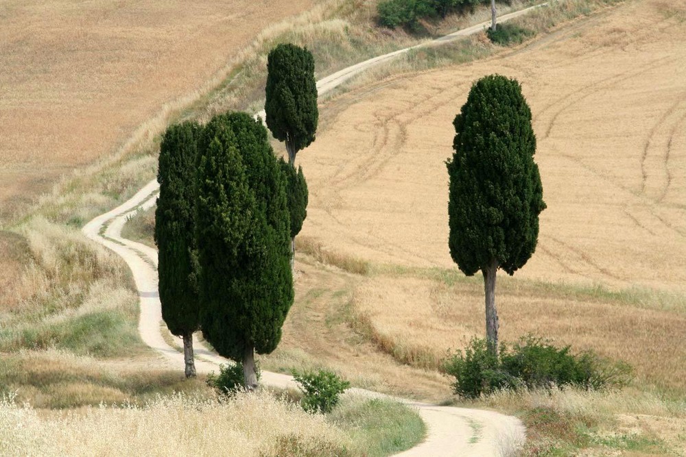 Val d'Orcia