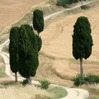 Val d'Orcia