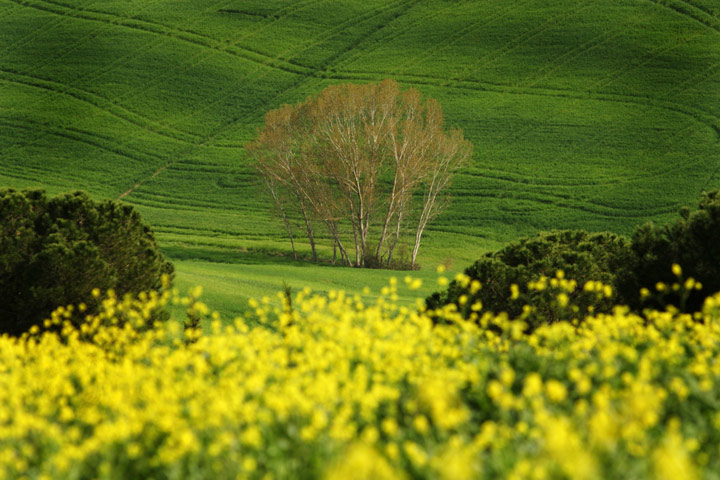 Val d'Orcia 1