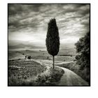 Val d'Orcia # 10