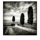 Val d'Orcia # 12