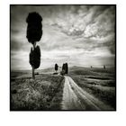 Val d'Orcia # 14