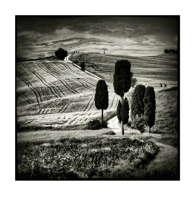 Val d'Orcia # 15