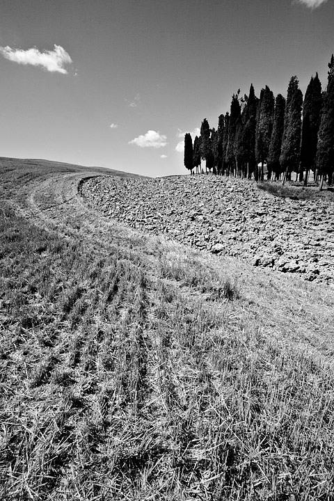 Val d'Orcia 2