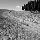 Val d'Orcia 2