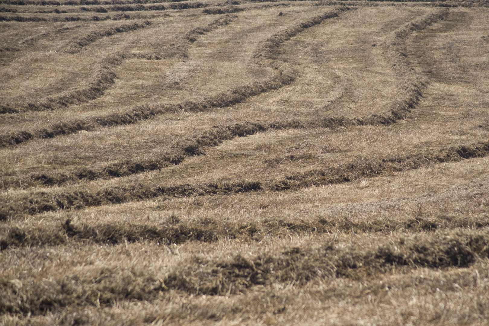 Val d'Orcia 2013