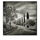 Val d'Orcia # 25