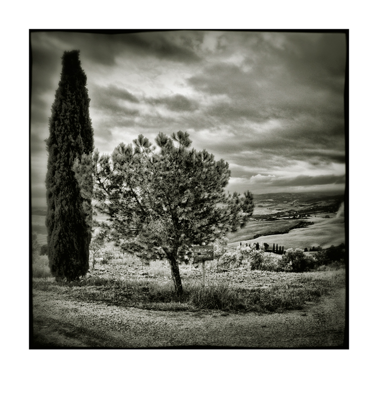 Val d'Orcia # 27