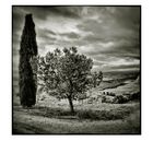 Val d'Orcia # 27