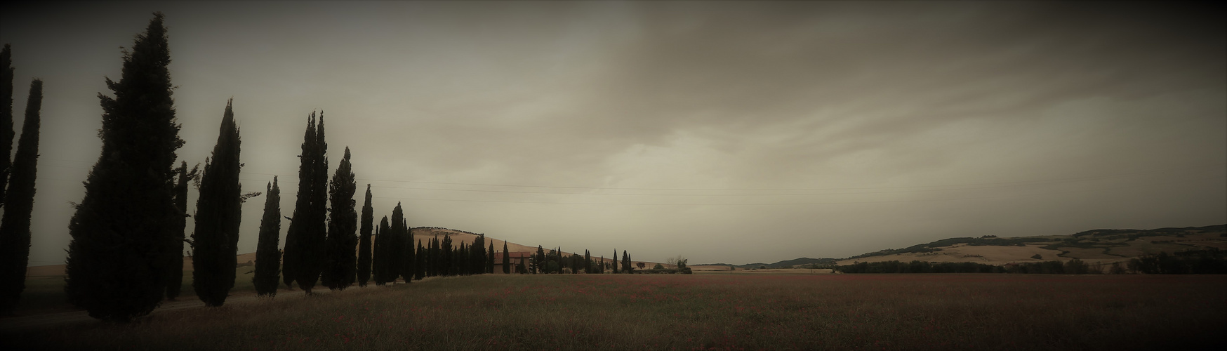 Val d'Orcia 3