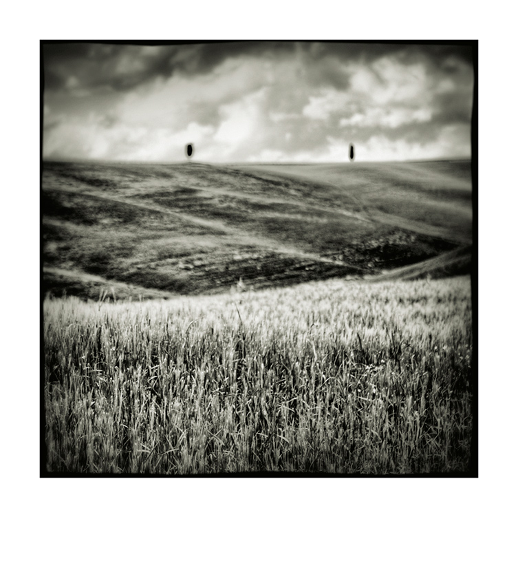 Val d'Orcia # 4