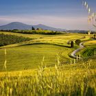 Val D'Orcia