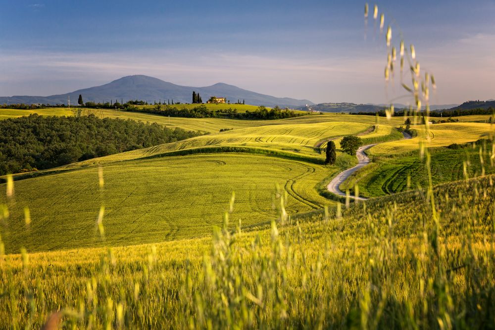 Val D'Orcia